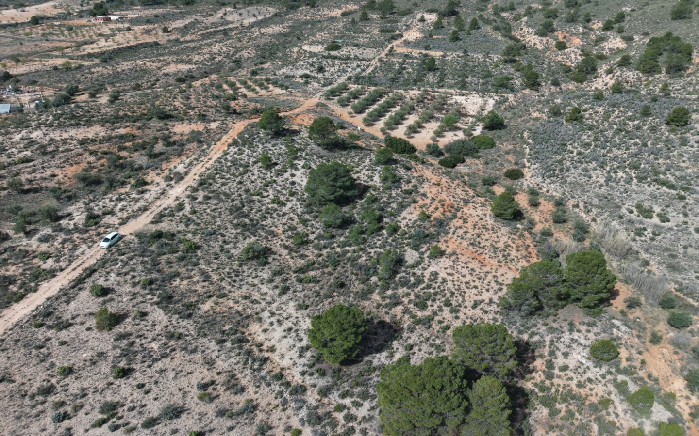 Land In Yecla, Spain (27.385 M² Plot)