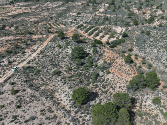 Land In Yecla, Spain (27.385 M² Plot)