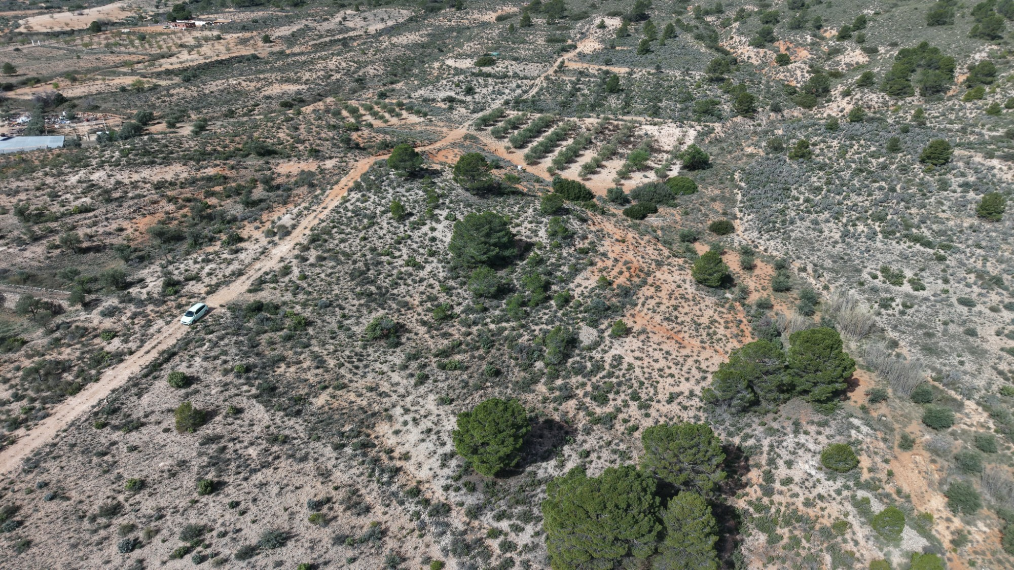Land In Yecla, Spain (27.385 M² Plot)