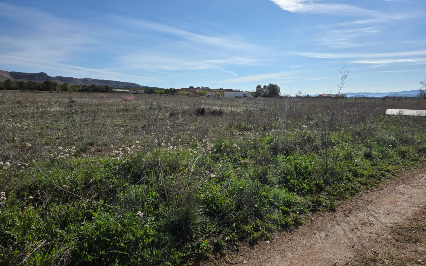 Land In Yecla, Spain (29.940 M² Plot)