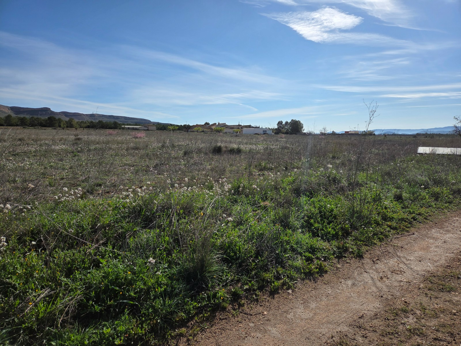 Land In Yecla, Spain (29.940 M² Plot)