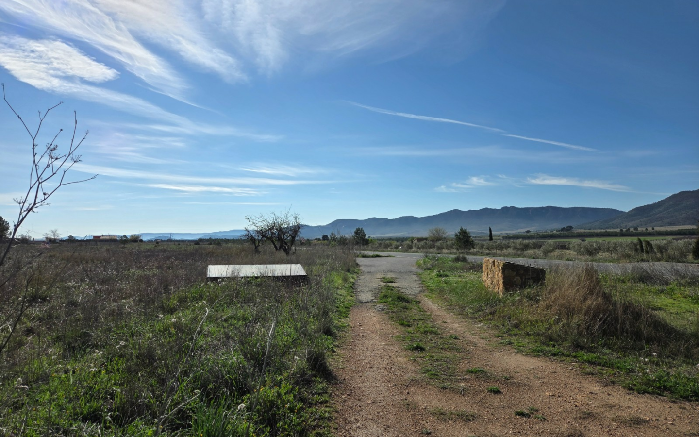 Land In Yecla, Spain (29.940 M² Plot)
