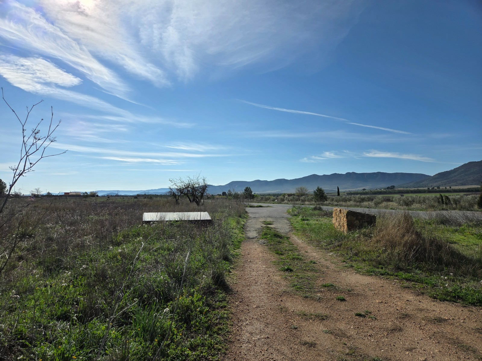 Land In Yecla, Spain (29.940 M² Plot)