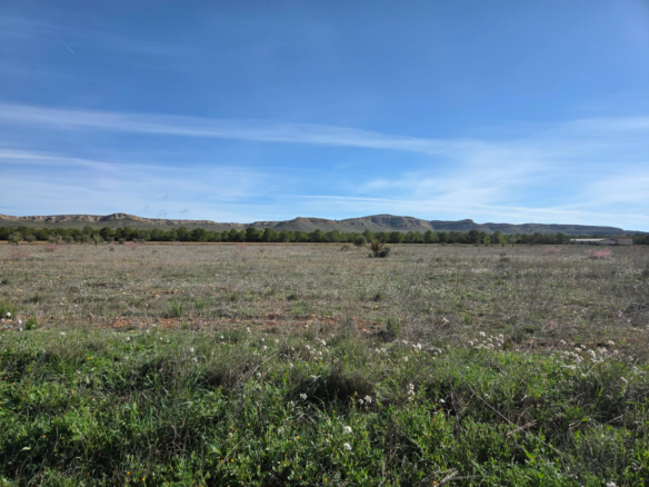 Land In Yecla, Spain (29.940 M² Plot)