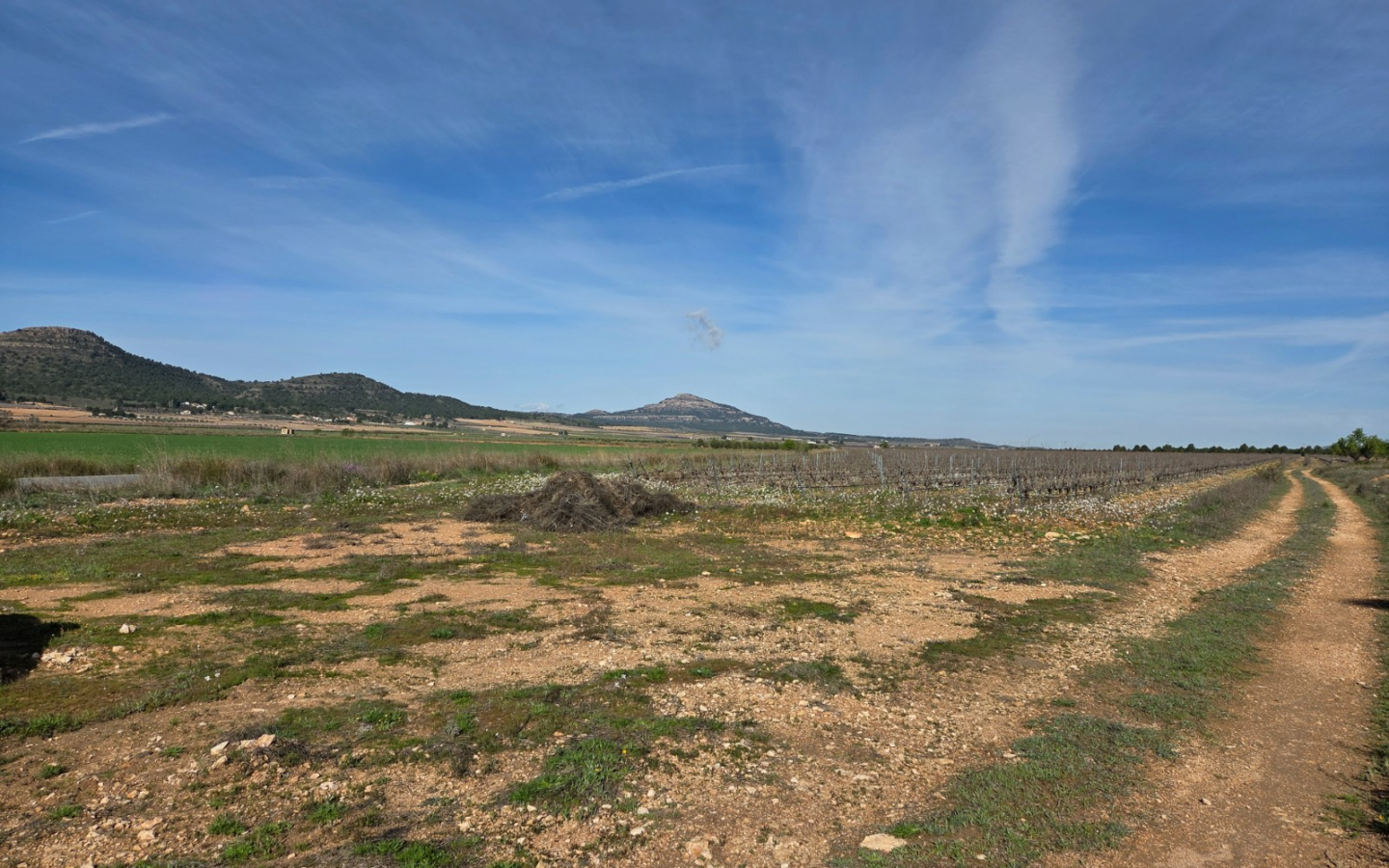 Land In Yecla, Spain (29.940 M² Plot)
