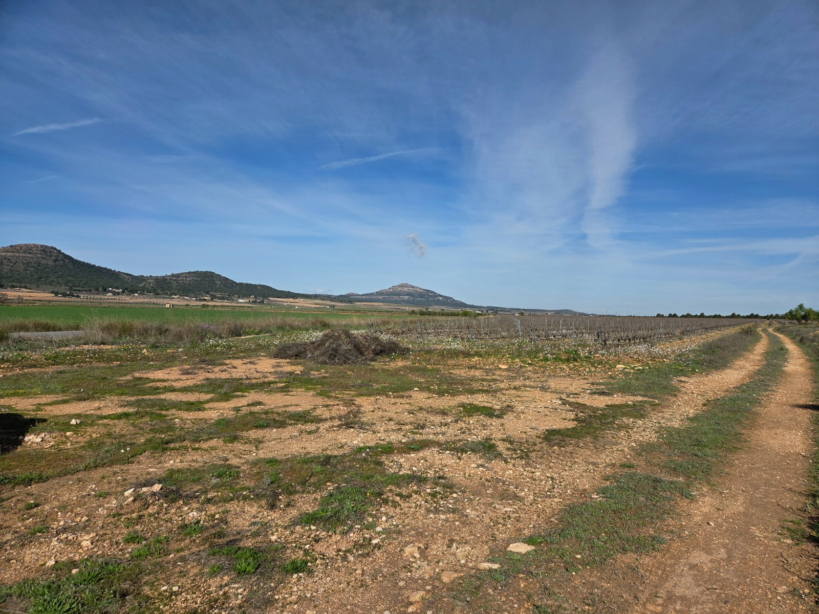 Land In Yecla, Spain (29.940 M² Plot)