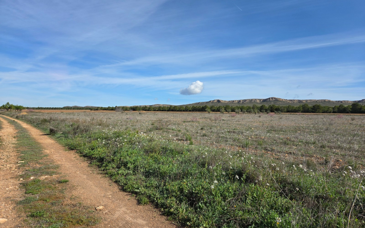 Land In Yecla, Spain (29.940 M² Plot)
