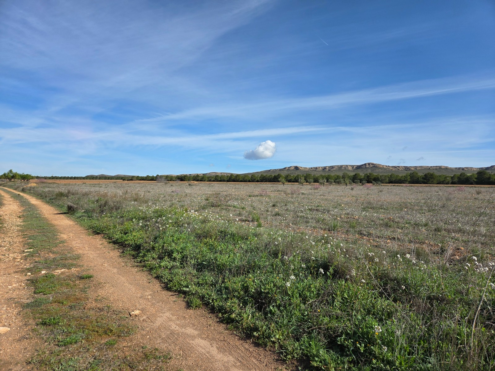 Land In Yecla, Spain (29.940 M² Plot)