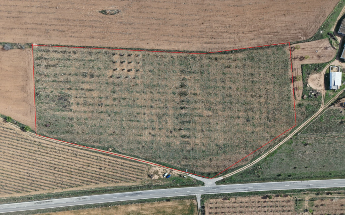 Land In Yecla, Spain (29.940 M² Plot)