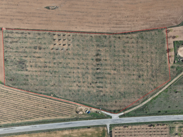 Land In Yecla, Spain (29.940 M² Plot)
