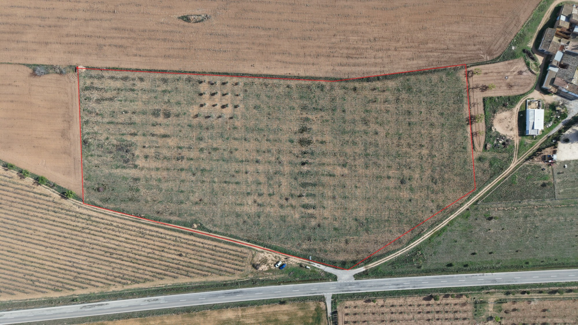 Land In Yecla, Spain (29.940 M² Plot)
