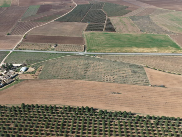 Land In Yecla, Spain (29.940 M² Plot)