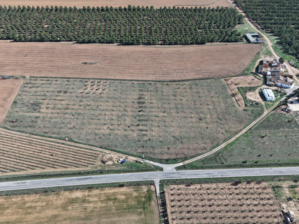 Land In Yecla, Spain (29.940 M² Plot)