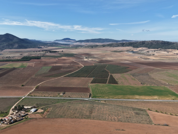 Land In Yecla, Spain (29.940 M² Plot)