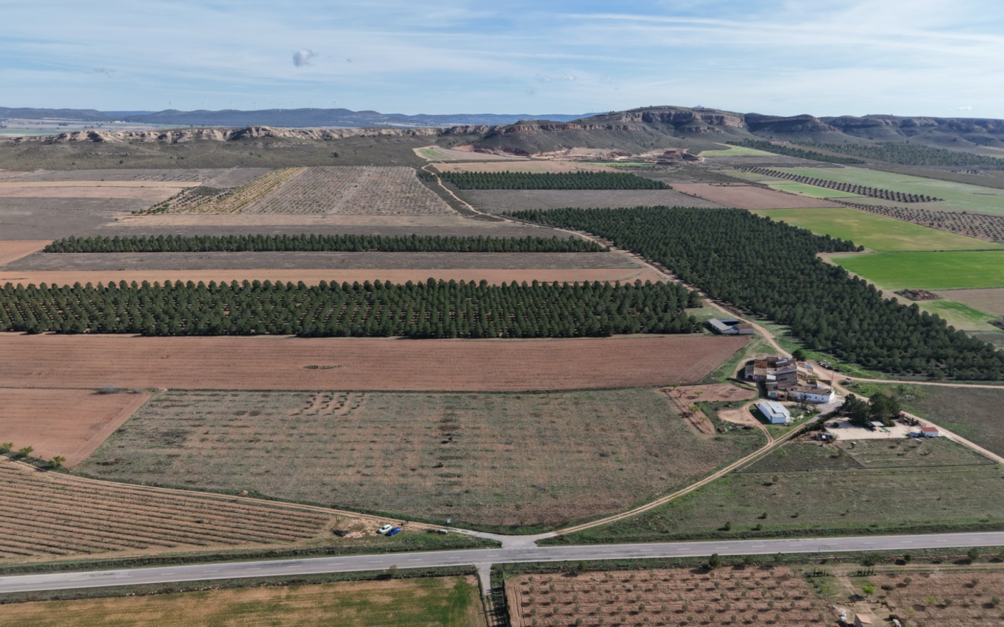 Land In Yecla, Spain (29.940 M² Plot)