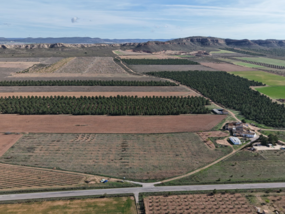 Land In Yecla, Spain (29.940 M² Plot)