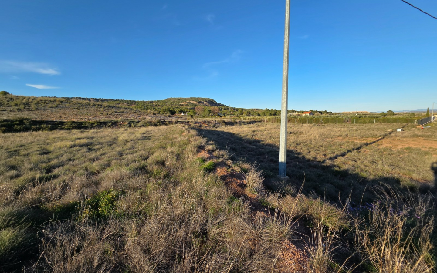 Land In Yecla, Spain (41.630 M² Plot)