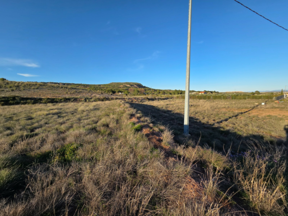 Land In Yecla, Spain (41.630 M² Plot)