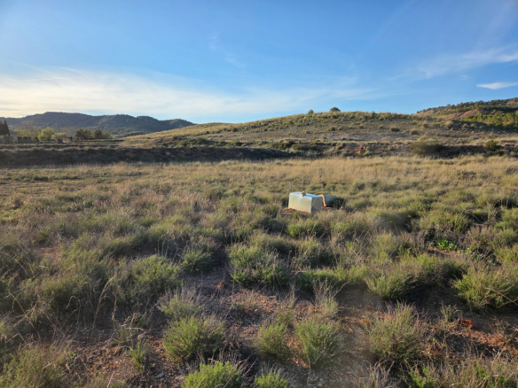 Land In Yecla, Spain (41.630 M² Plot)