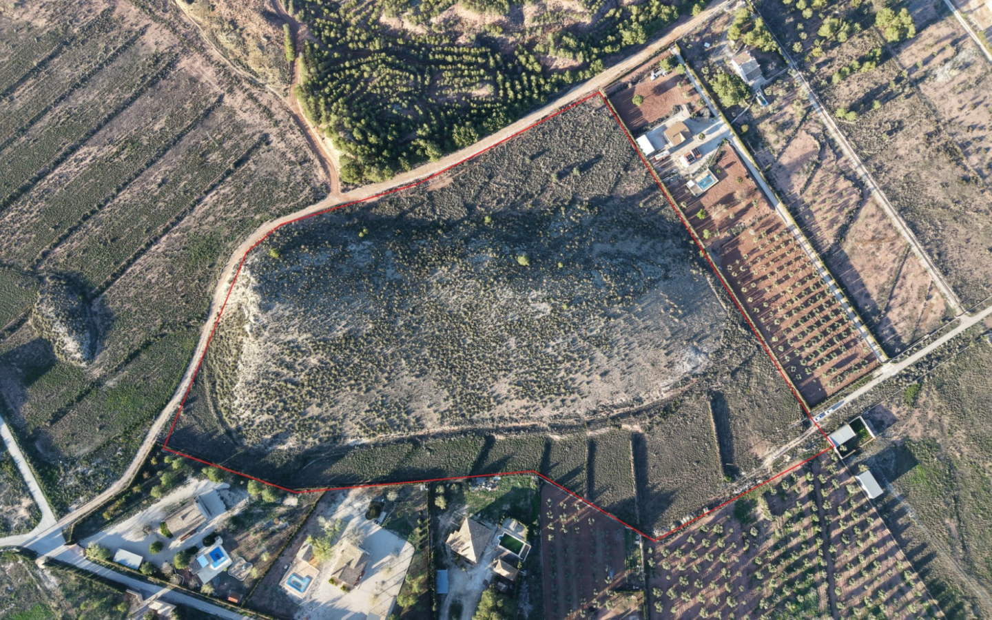Land In Yecla, Spain (41.630 M² Plot)