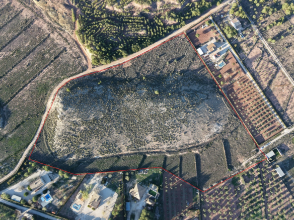 Land In Yecla, Spain (41.630 M² Plot)