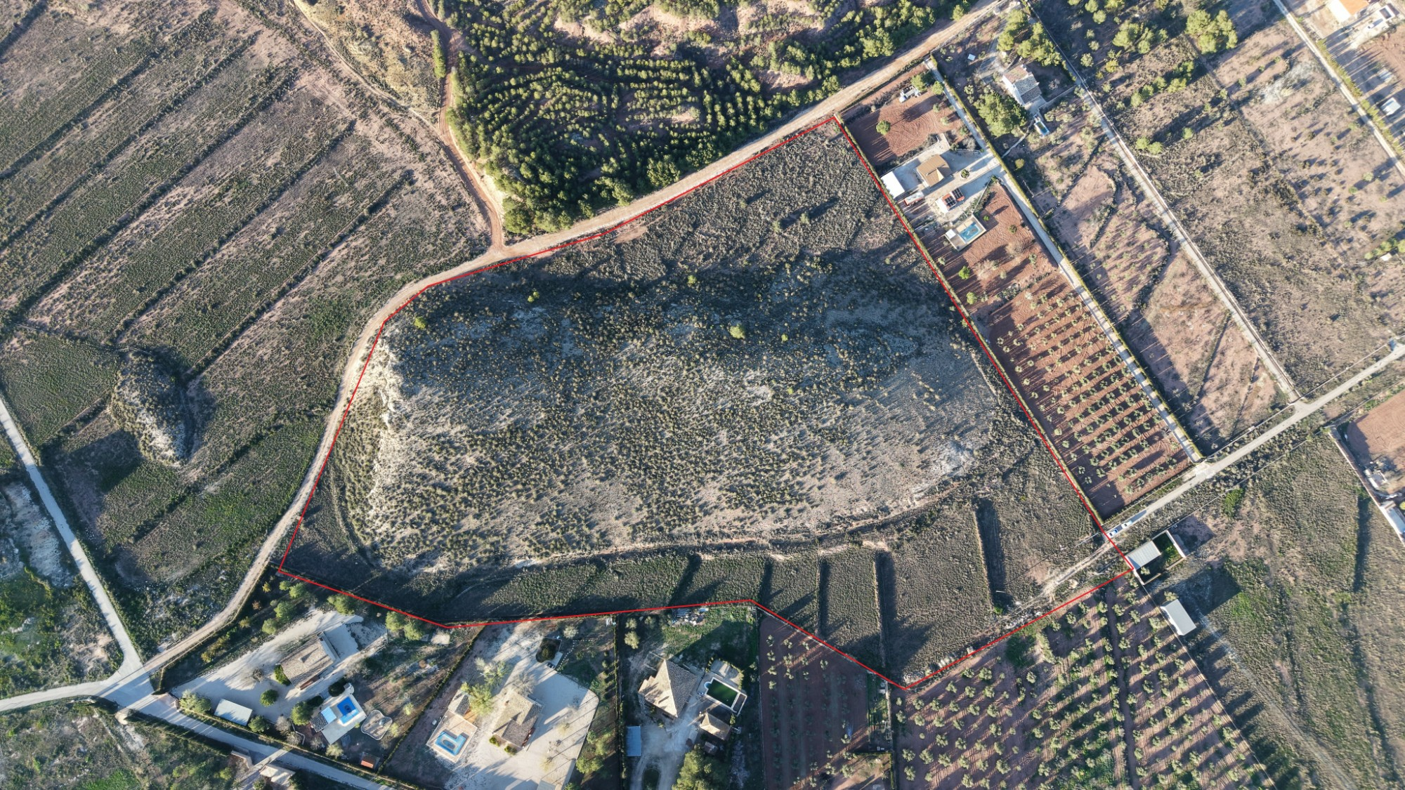 Land In Yecla, Spain (41.630 M² Plot)