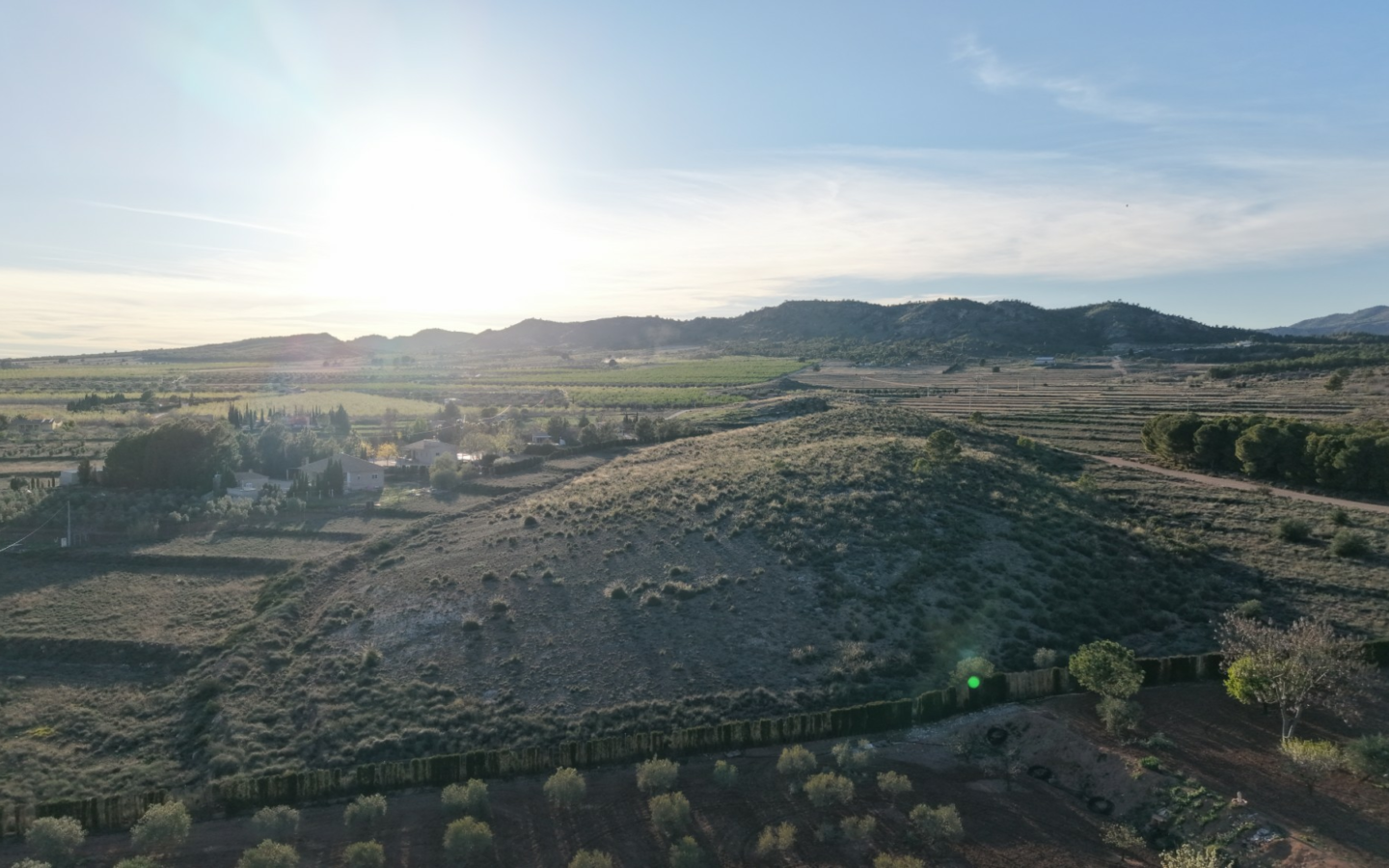 Land In Yecla, Spain (41.630 M² Plot)