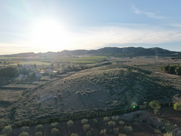 Land In Yecla, Spain (41.630 M² Plot)
