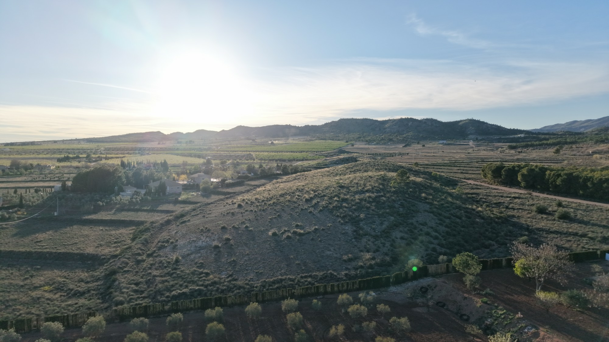 Land In Yecla, Spain (41.630 M² Plot)