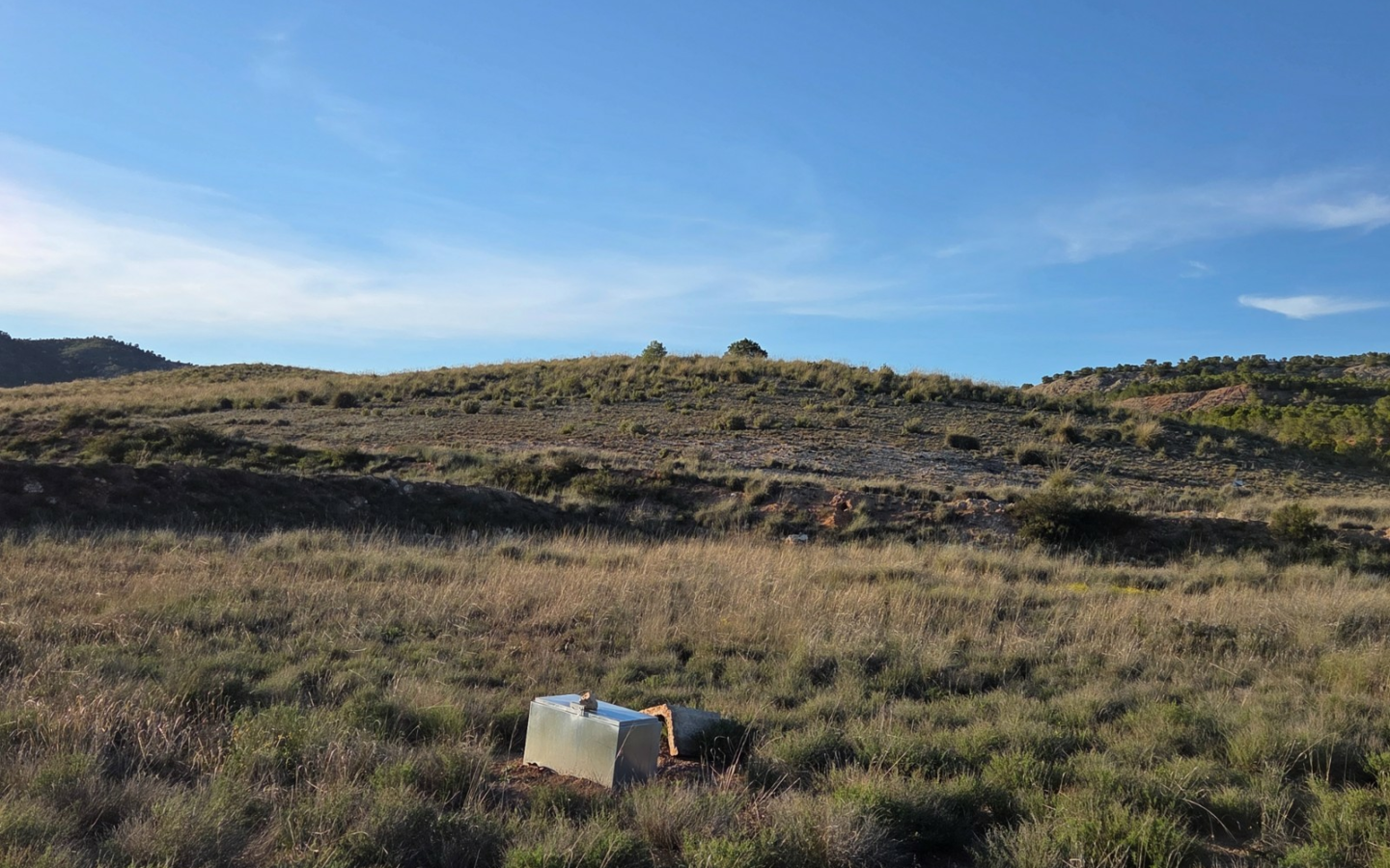 Land In Yecla, Spain (41.630 M² Plot)