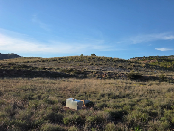 Land In Yecla, Spain (41.630 M² Plot)