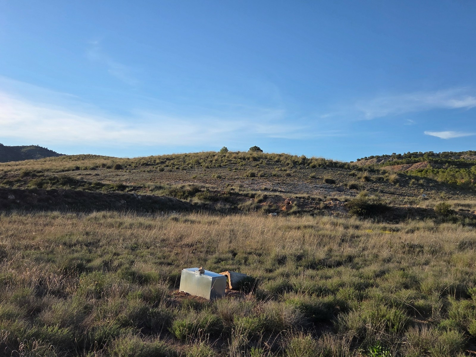 Land In Yecla, Spain (41.630 M² Plot)