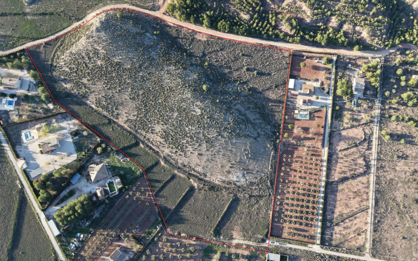 Land In Yecla, Spain (41.630 M² Plot)