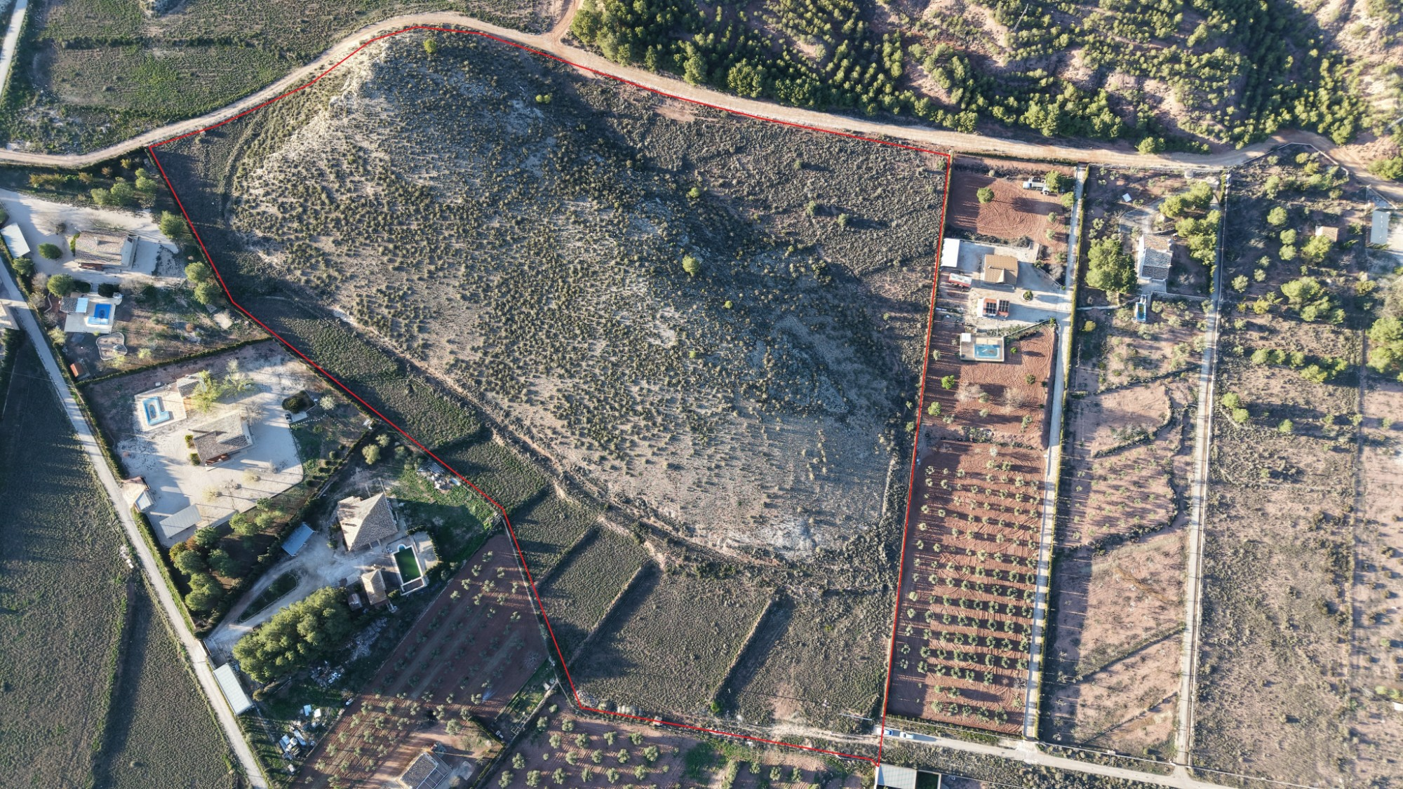 Land In Yecla, Spain (41.630 M² Plot)