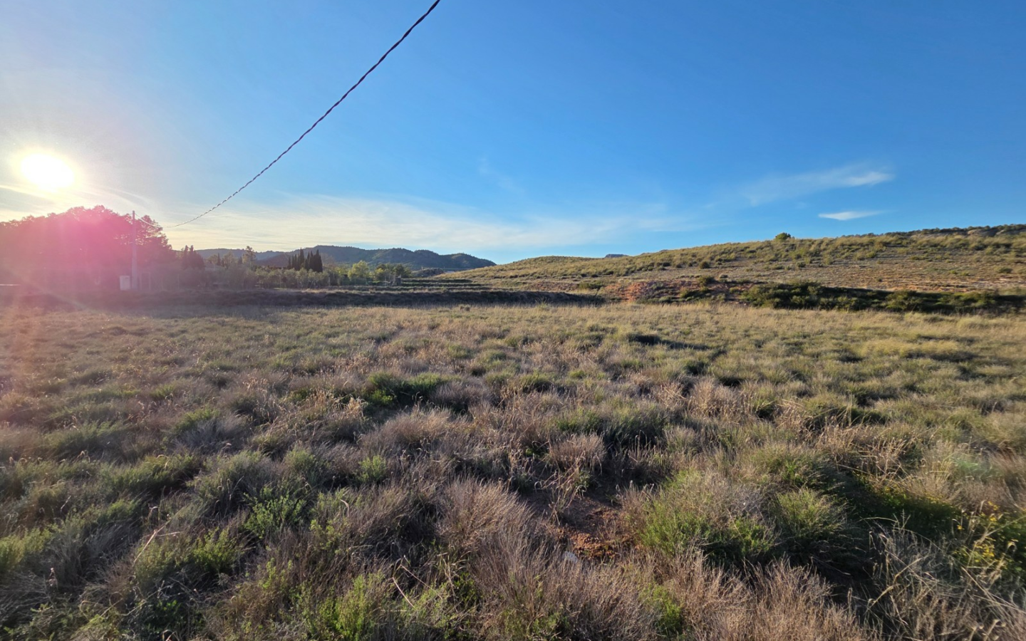 Land In Yecla, Spain (41.630 M² Plot)