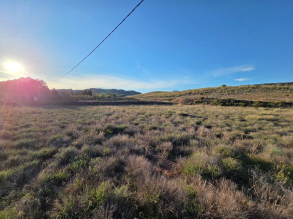 Land In Yecla, Spain (41.630 M² Plot)