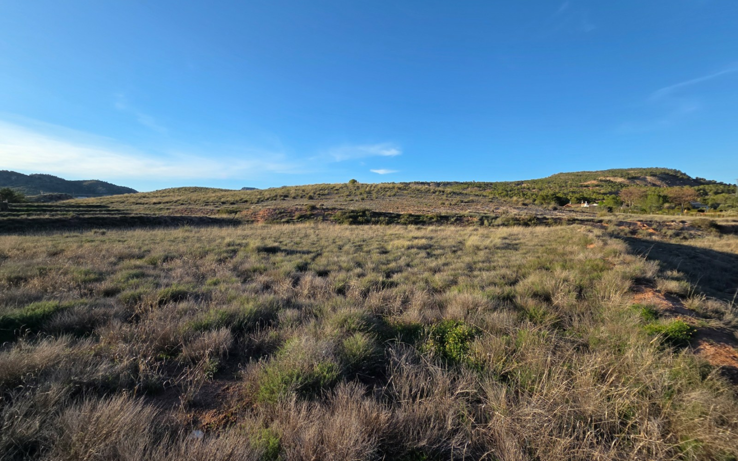 Land In Yecla, Spain (41.630 M² Plot)