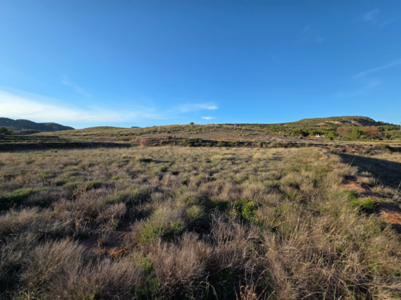 Land In Yecla, Spain (41.630 M² Plot)