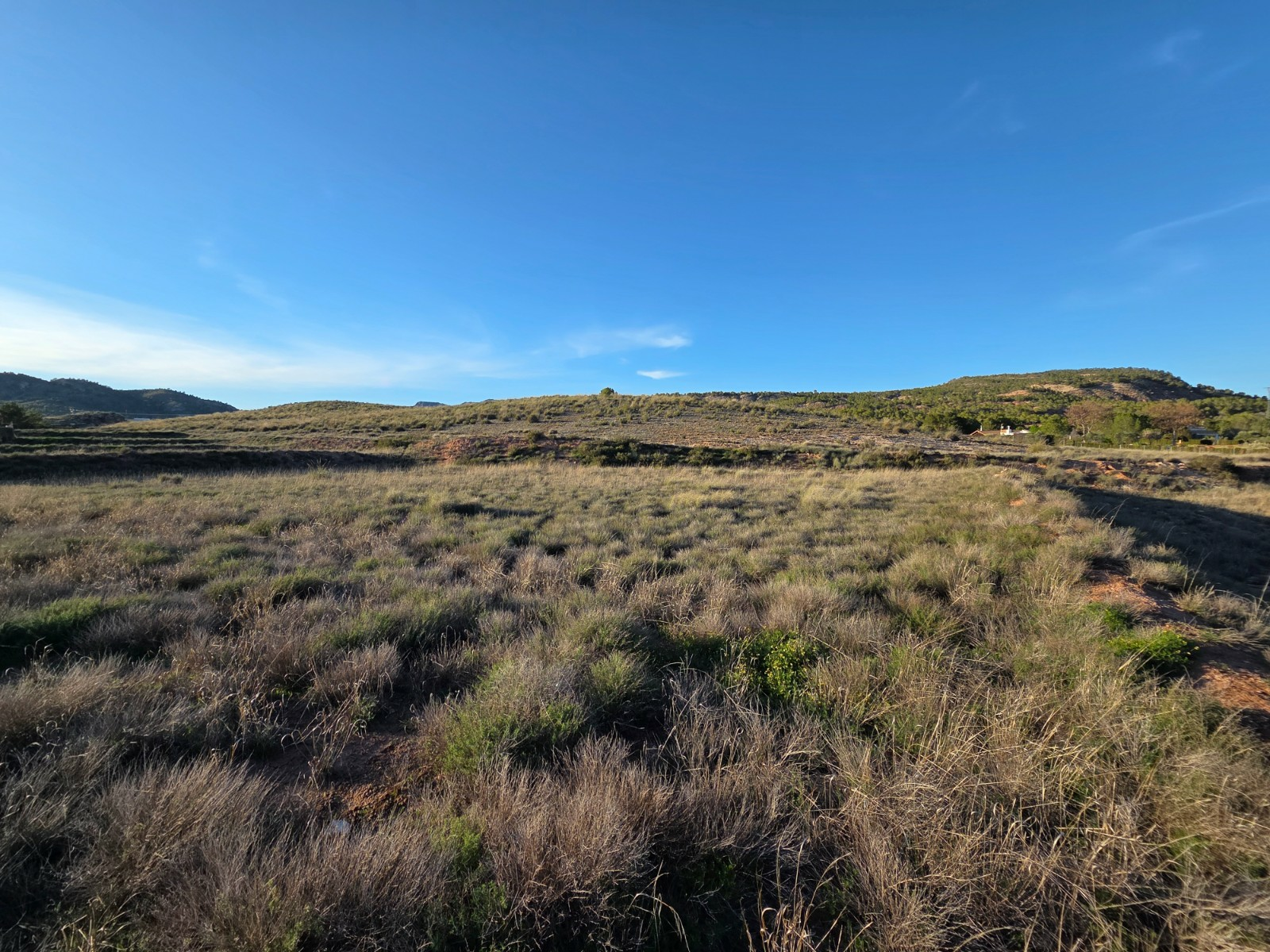 Land In Yecla, Spain (41.630 M² Plot)