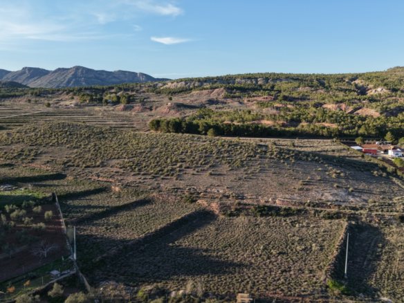 Land In Yecla, Spain (41.630 M² Plot)