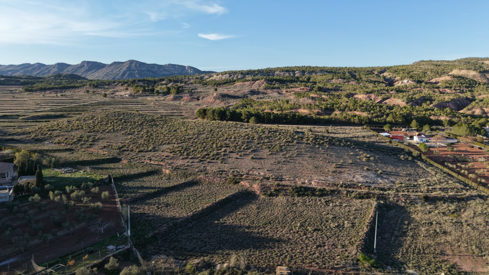 Land In Yecla, Spain (41.630 M² Plot)