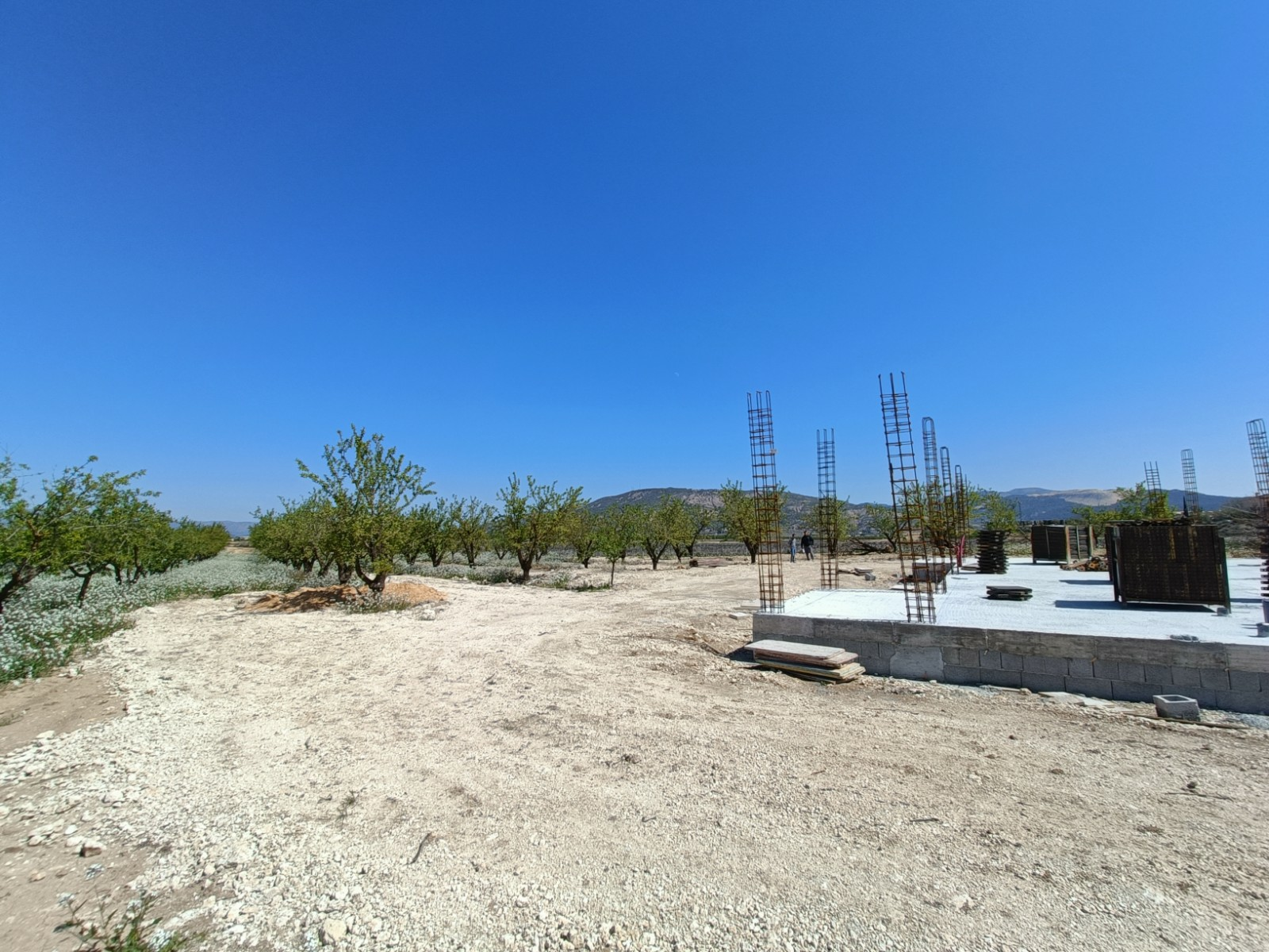 o_1jmb30qtg1ja01lqlpabma4qmu24-ac4c04 3-bedroom Detached Villa In Pinoso, Spain (150 M²)