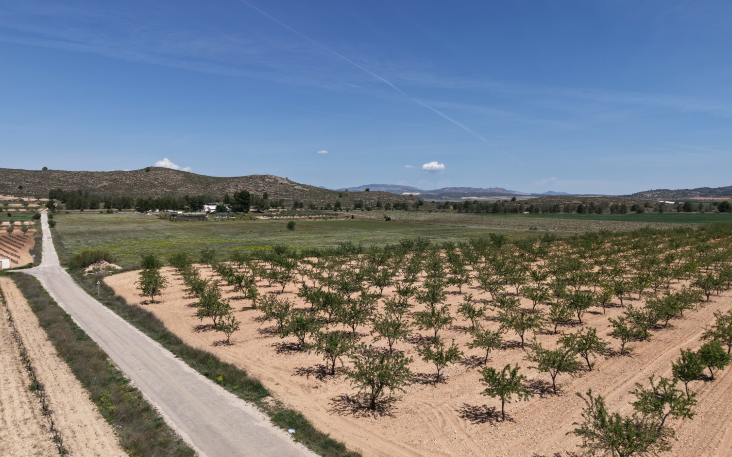 Land In Yecla, Spain (38.802 M² Plot)