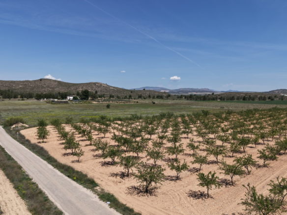 Land In Yecla, Spain (38.802 M² Plot)