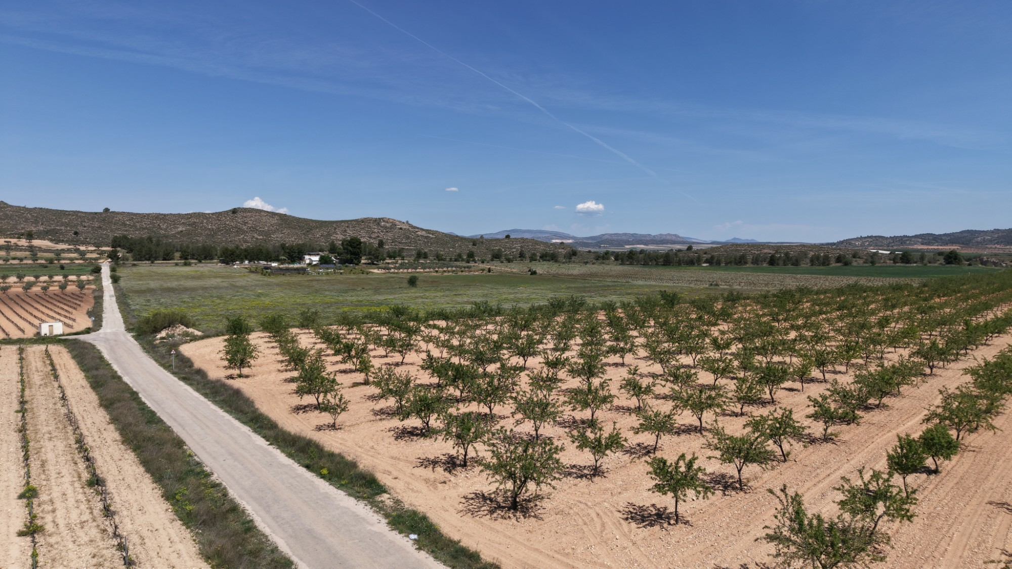 Land In Yecla, Spain (38.802 M² Plot)