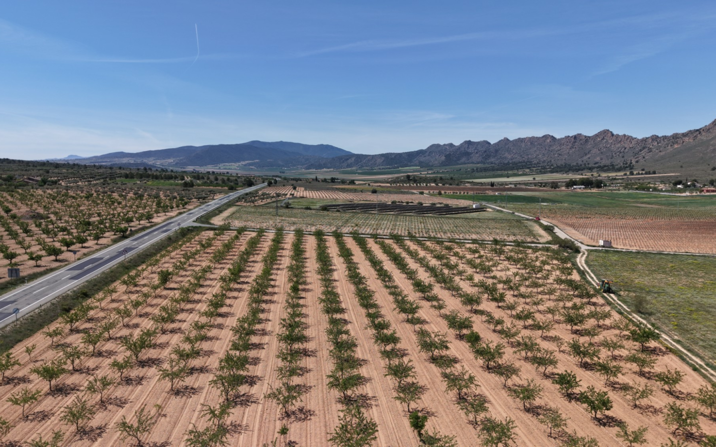 Land In Yecla, Spain (38.802 M² Plot)