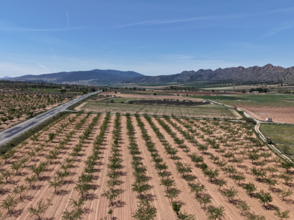 Land In Yecla, Spain (38.802 M² Plot)