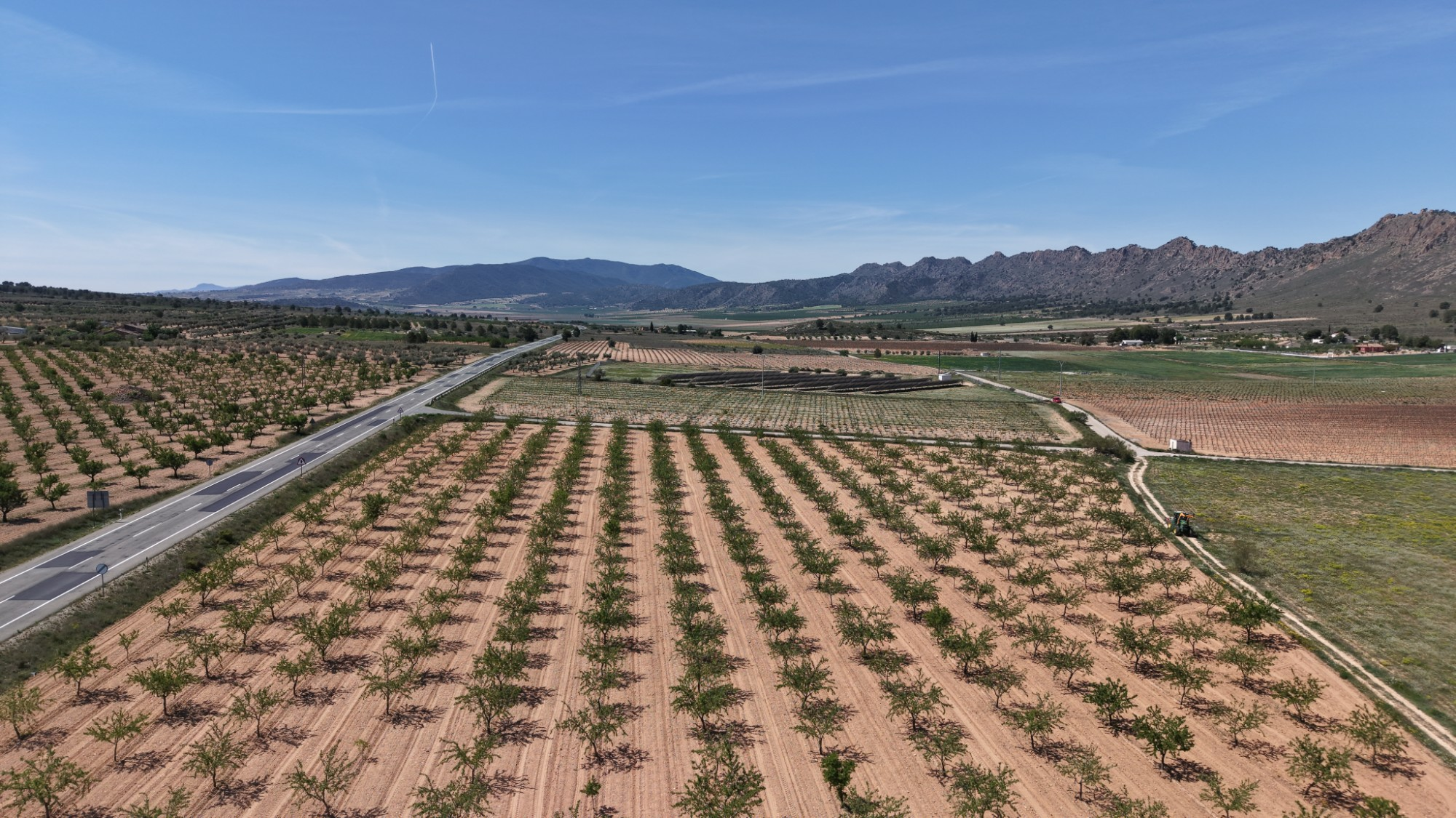 Land In Yecla, Spain (38.802 M² Plot)