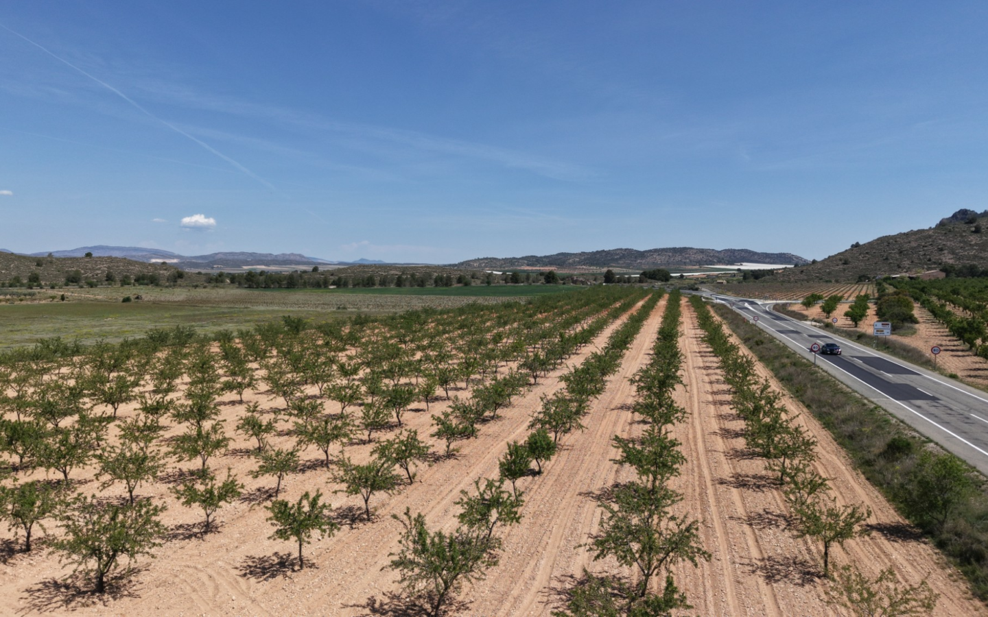 Land In Yecla, Spain (38.802 M² Plot)