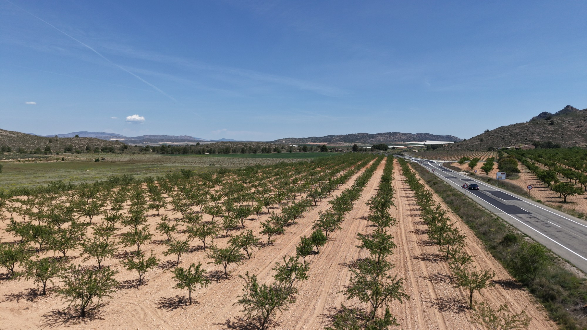 Land In Yecla, Spain (38.802 M² Plot)